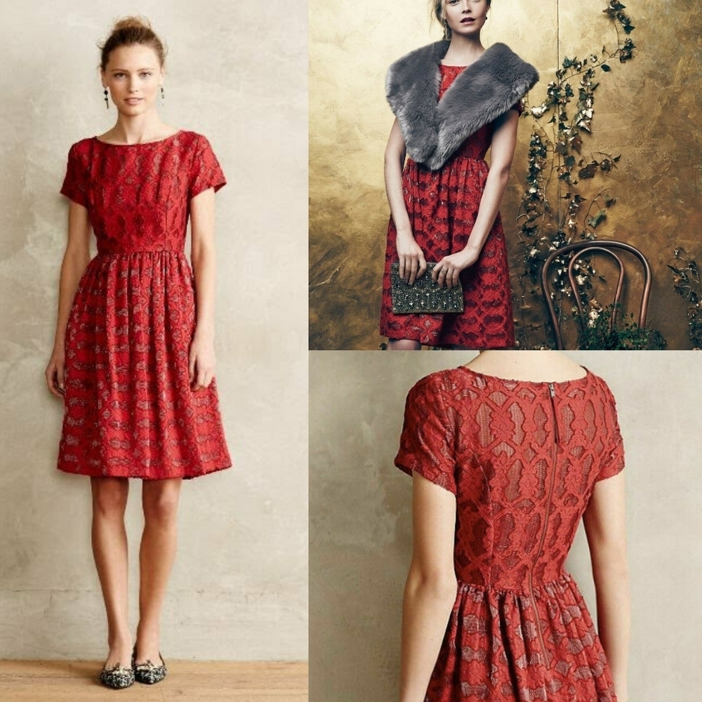 Anthropologie Moulinette Soeurs Rubied Lace Dress Fit & Flare Pleated Mini Dress